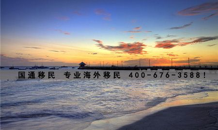 什么时候办理圣基茨移民才是最好的时机.jpg