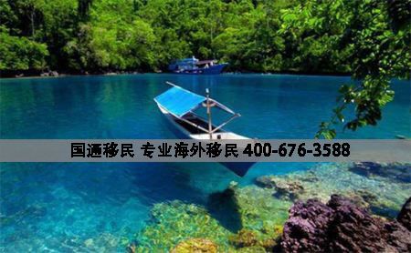 相信大多数中国人第一次了解几内亚比绍移民项目是在2008年，当然，有些人在早些时候就了解到了。2008年，在北京大学医学系录取名单中发现了一个奇怪的现象，在100多名入学的外国学生中，近50名几内亚比绍国籍的学生都是三个字的中文名字。
