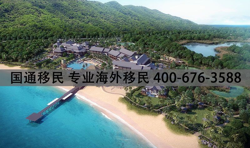 多米尼克总理罗斯福·斯凯里特（Roosevelt Skerrit）在2021年1月19日的演讲中列出了多米尼克投资公民计划的好处。他说，多米尼加护照已经拥有免签和落地签可访问140多个国家，提供了便捷的旅行体验计划。总理斯凯里特强调：“到2021年底，多米尼克护照免签落地签国家数量肯定会增加20％至25％。”