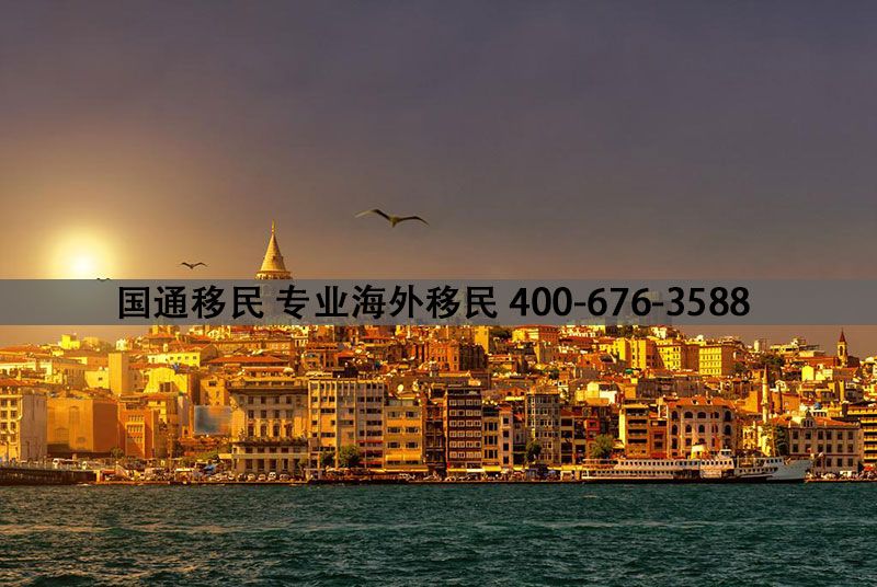 土耳其移民项目被称为欧洲投资移民的黑马。根据汇丰银行近期发布的《 2019年全球移居报告》，土耳其排名第七，高于德国。2019年，土耳其房产投资入籍项目在许多移民国家中脱颖而出，是今年海外国家房产投资好的项目之一，土耳其也已成为外国投资者青睐的海外房产投资国家之一。